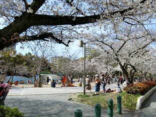 江坂駅 徒歩5分 6階の物件内観写真